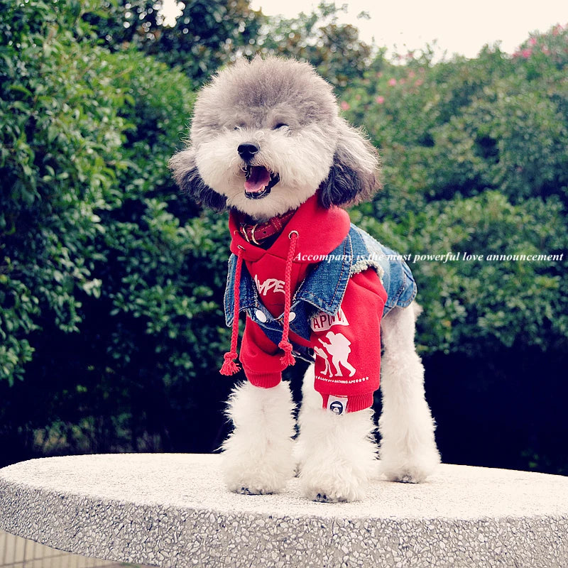 Spring Denim Dog Vest Shih Tzu Clothes for Small Dogs Yorkshire Terrier Puppy Jeans Jacket for Chihuahua Apparel Cat Clothes